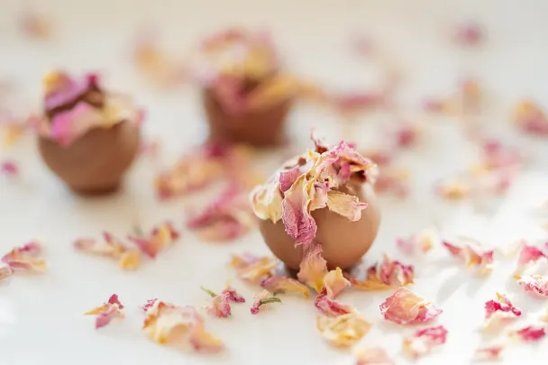 Kazino Generation VIP Android/iOS programa